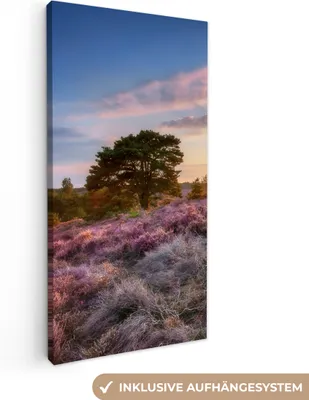 Produktbild von MuchoWow® - Leinwandbilder - Heide bei Sonnenuntergang, Wandbild, Wanddeko Bilder Wohnzimmer, 20x40 cm