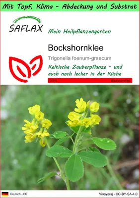 Produktbild von SAFLAX Garden to go - Bockshornklee - Trigonella foenum-graecum - 100 Samen - Mit Topf, Klima - Deckel und Anzuchtsubstrat