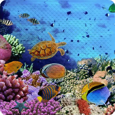Zdjęcie produktu dla Mata łazienkowa Sanilo Ocean 53 x 53 cm