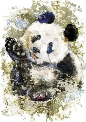 Produktbild von Pandabär-Designanwendung