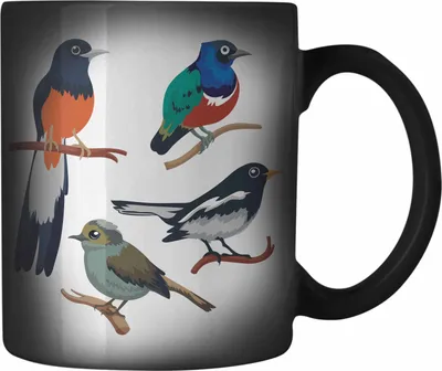 Produktbild von Trendation - Arten von Vögeln Vogel Farbwechsel Zauber-Tasse Geschenk Grafik Geschenkdiee für Vogel-Liebhaber (Schwarz)