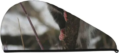 Produktbild von Opossum im Schnee: Haartuch aus Korallensamt zum schnellen Trocknen von nassem, langem, dickem oder lockigem Haar