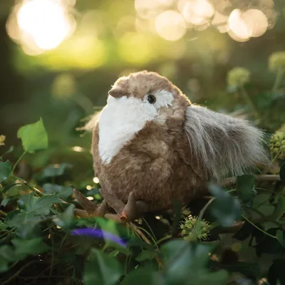 Produktbild von Plüschfigur Zaunkönig "Rosemary" Limitierte Editio