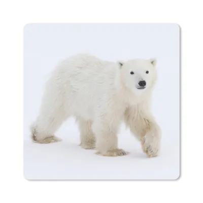 Produktbild von MuchoWow® Mauspad Mousepad Eisbär - Schnee - Weiß 30x30 cm - Mousepads - Maus Mat - Pad - Mausunterlage - Gaming