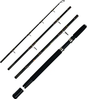 Produktbild von WFT Reisesrute Oceanic Pro Tidecutter