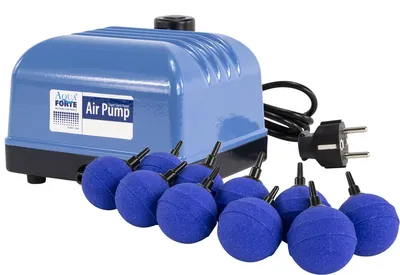 Produktbild von Aquaforte Teichbelüfter Set V-60 3600 L/h 50m Schlauch 10 Ausströmer