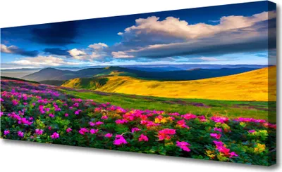 Produktbild von Tulup Leinwand-Bilder 125x50 Wandbild Canvas Kunstdruck Wiese Blumen Natur