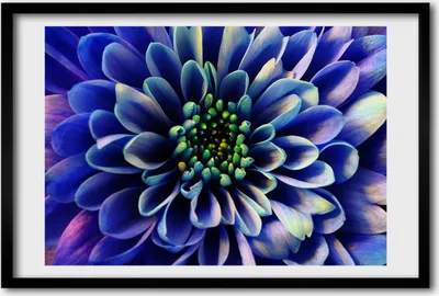 Produktbild von Bild 60x40 MDF-Rahmen, Wandkunst Aster