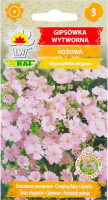 Obrázok produktu pre Gypsophila elegant - 1 g semien