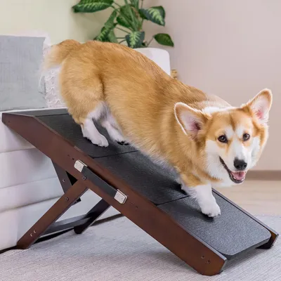 Produktbild von Hundetreppe höhenverstellbar 18-50cm für Sofa Kleinhunde Holz