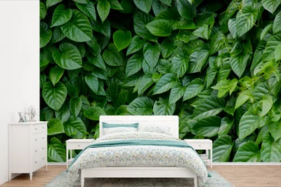 Produktbild von MuchoWow® Fototapete für Wohnzimmer oder Schlafzimmer Wandtapete Vinyl Motivtapete Grüne Blätter - 330x220 cm - Fototapeten