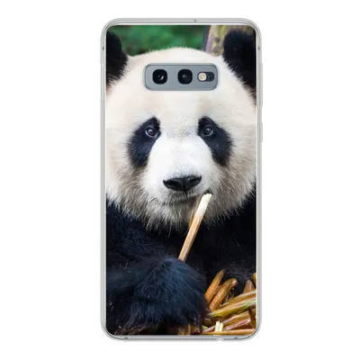 Produktbild von MuchoWow® Handyhülle Schutzhülle Hülle für Samsung Galaxy S10e Panda - Bambus - Natur Silikon Softcase Handy Hülle - Handy