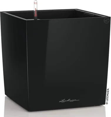 Zdjęcie produktu dla LECHUZA CUBE 40, Sadzarka w doniczce, Wolnostojący, Polipropylen (PP), Czarny, Wewnętrzna, Czarny