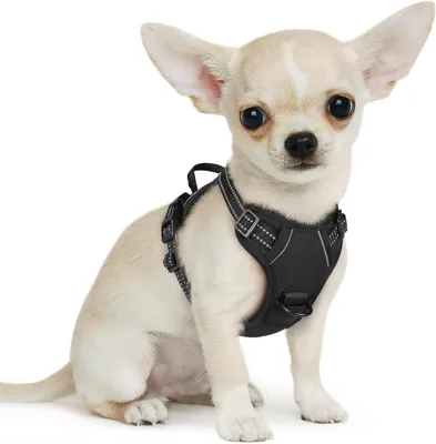 Productafbeelding van Hondenharnas No Pull voor Kleine Honden - Verstelbaar, Reflecterend en Gewatteerd, Comfortabel en Ademend – Anti-Trek Hondentuigje