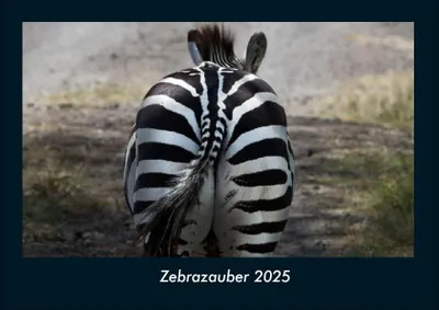 Produktbild von Zebrazauber 2025 Fotokalender DIN A4