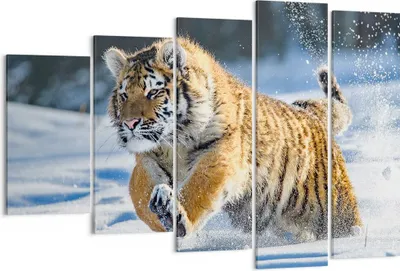 Produktbild von Bild auf Leinwand - Leinwandbild - tiger tier - 150x100cm - Wand Bild - Wanddeko - Wandbilder - Leinwanddruck - Bilder - Kunstdruck - Wanddekoration - Leinwand bilder - Wandkunst - EG150x100-3928