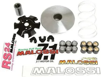 Produktbild von Polini Variomatik Sport Malossi Piaggio Leader Motor