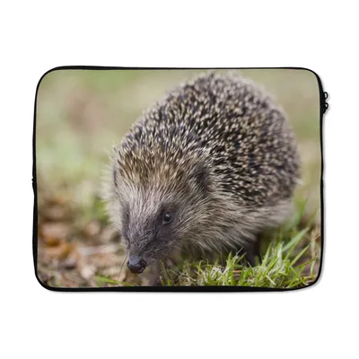 Produktbild von MuchoWow® Laptop Hülle 14 ZollIgel im Gras Laptoptasche - Laptoptasche - Stoßsicher - Schutzhaube