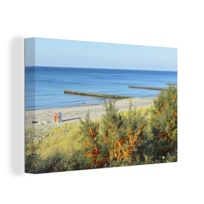 Produktbild von OneMillionCanvasses® - Leinwandbilder - 150x100 cm, Ostsee - Strand - Bäume, Wandbilder Kunstdruck Wanddekoration