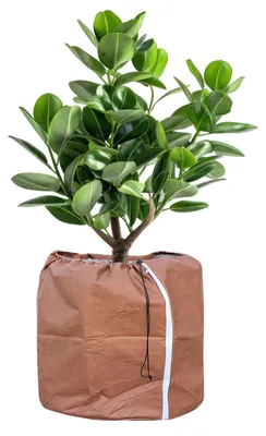 Productafbeelding van Thermische bescherming voor bloempotten, beschermhoes voor planten in potten, winterbescherming voor bloempotten met trekkoord – 40 x 40 cm