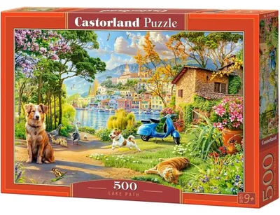 Zdjęcie produktu dla Puzzle 500 Lake Path B-54305