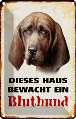 Produktbild von vianmo Blechschild 30x20 cm Hund dieses Haus bewacht ein Bluthund Tier Haustier