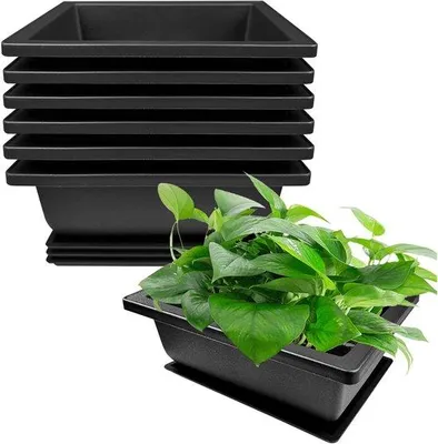 Produktbild von 6-teiliges Bonsai-Topf-Set, 16x12x6cm, Plastik, wiederverwendbar