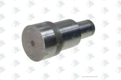 Produktbild von Euroricambi Bolzen 74530375 1,950kg