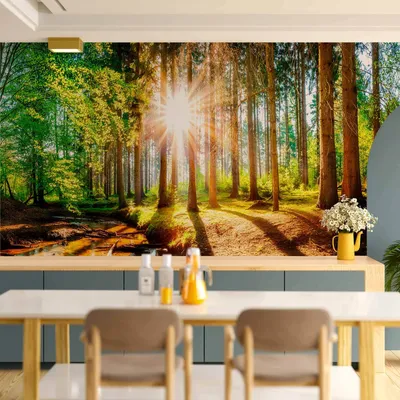 Produktbild von Vlies Fototapete - Marvelous Forest 300x210 cm Landschaften c-B-0267-a-a