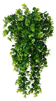 Kunstpflanze, hängender Eukalyptus, künstlicher Efeu, pflegefrei