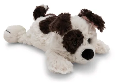 Produktbild von Nici Kuscheltier Hund liegend 20 cm weiß/braun Plüschhund