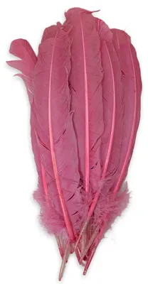 Echte Deko-Federn, Altrosa, 12 Stück, 28-30 cm