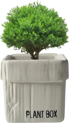 Image de Boîte en carton créative Design Ciment Planteur Urnes, Planteur Pour Plantes d'Intérieur Fleur Succulentes Pots(Beige,10cm)
