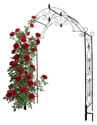 Produktbild von Relaxdays Rosenbogen, Metall, Torbogen Garten, HxBxT: 250 x 130 x 40 cm, stabiler Rankbogen für Kletterpflanzen, schwarz