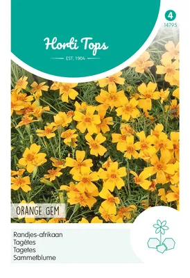 Productafbeelding van Sammetbloem 'Orange Gem' | Bloemzaad van Hortitops [THT 07/2024]