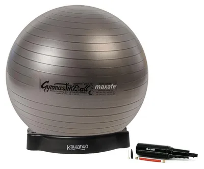 Produktbild von Gymnastikball MAXAFE, 75 cm, mit Pumpe und Ballbehälter