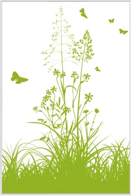 Produktbild von Wallario Wandbild Grüne Sommerwiese, Größe: 61 x 91,50 cm, Poster mit weißem Aluminiumrahmen