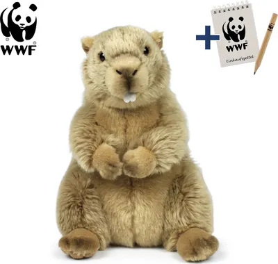 A WWF branded plush marmot toy with a notepad and pencil.