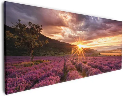 Produktbild von Wallario Premium Leinwandbild Lavendelfeld bei Sonnenuntergang - Sonnenstrahlen in Größe 80 x 200 cm
