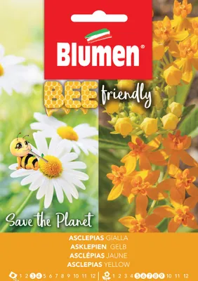 Produktbild von Gelbblühende Seidenpflanze | Blumensamen von BLUMEN Group