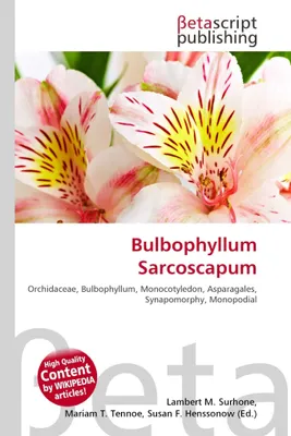 Produktbild von Bulbophyllum Sarcoscapum