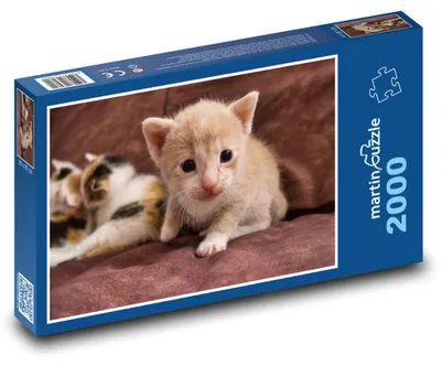 Obrázok produktu pre martinpuzzle – Puzzle 2000 – Maciatko
