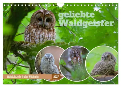 Produktbild von geliebte Waldgeister (Wandkalender 2027 DIN A4 quer), CALVENDO Monatskalender