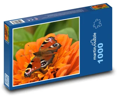Produktbild von Puzzle 1000 Pfauenfalter auf Blume - martinpuzzle