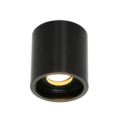 Image de Steinhauer - spot - Pelite spot - noir - plastique métal - Ø 9cm - GU10 - 1731ZW