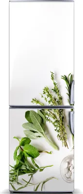 Immagine prodotto di Decorazione per frigorifero Tulup - Tappetino magnetico - 60 cm x 180 cm - Magnete da applicare al frigorifero - Motivo: erbe aromatiche