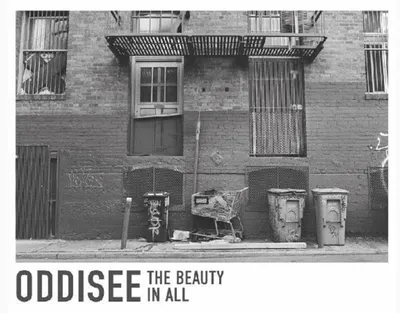 Obrázok produktu pre Oddisee - The Beauty In All (Reissue) (Royal Purple Coloured) (LP)