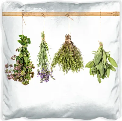 Produktbild von Wallario Premium Kissen, weiche Oberfläche, mit Motiv Verschiedene Kräuter an der Leine, Größe: 30 x 30 cm, mit weißer Rückseite