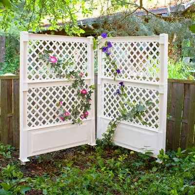 Produktbild von 2er Set Spalier (2-teilig) 100cm mit Erdspieß, Farbe:Weiß