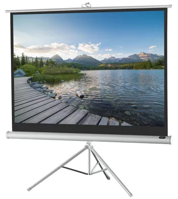 Produktbild von celexon Stativleinwand Economy 244 x 183 cm - White Edition
